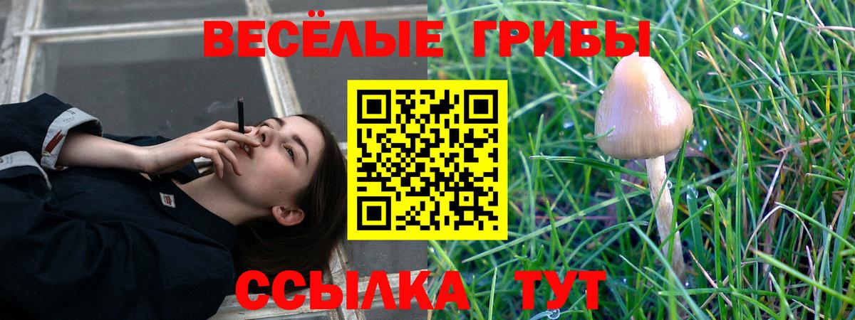 Зима  Псилоцибиновые грибы мицелий  Вход с VPN  Псилоцибиновые грибы MAGIC MUSHROOMS 